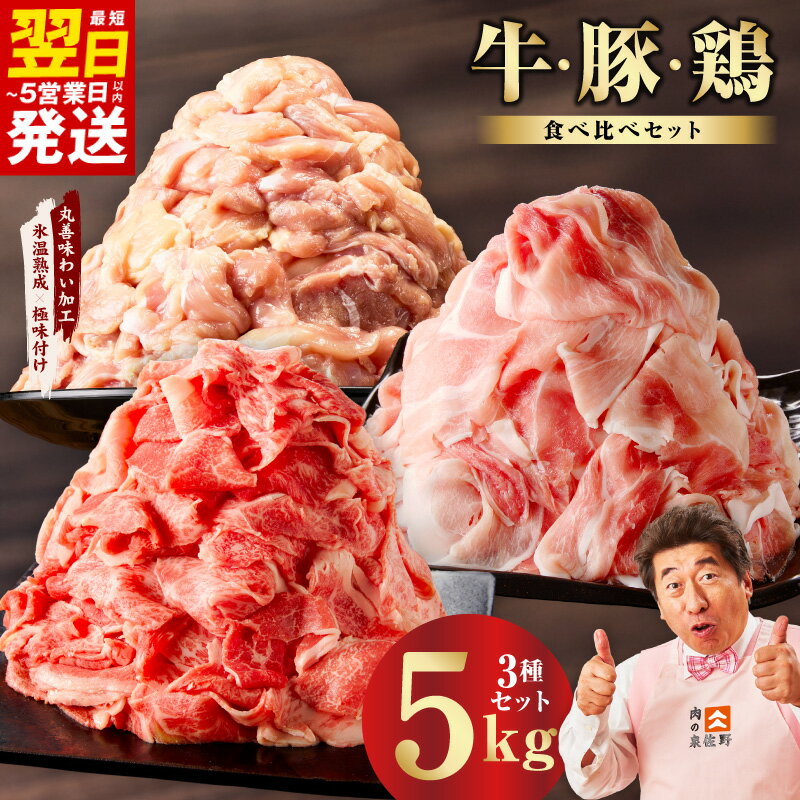 【ふるさと納税】【発送月が選べる】 国産 牛肉 豚肉 鶏肉 セット 合計 5kg 氷温熟成 極味付け 3種 食べ比べ 肉 普段使い 味付き 小分け カレー サイズ不揃い 熟成肉 作り方 ふるさと納税オリジナル 限定 肉の泉佐野 最短 翌日発送 5営業日 泉佐野市 送料無料