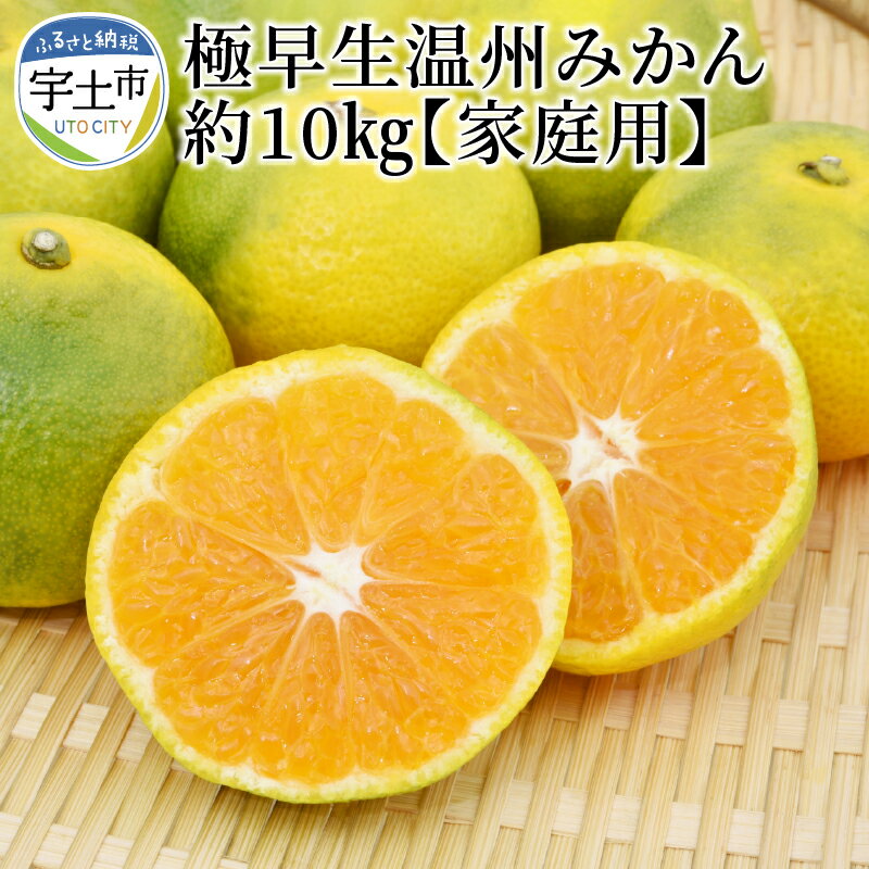 【ふるさと納税】進栄　【家庭用】極早生温州みかん　約10kg【熊本県宇土市】