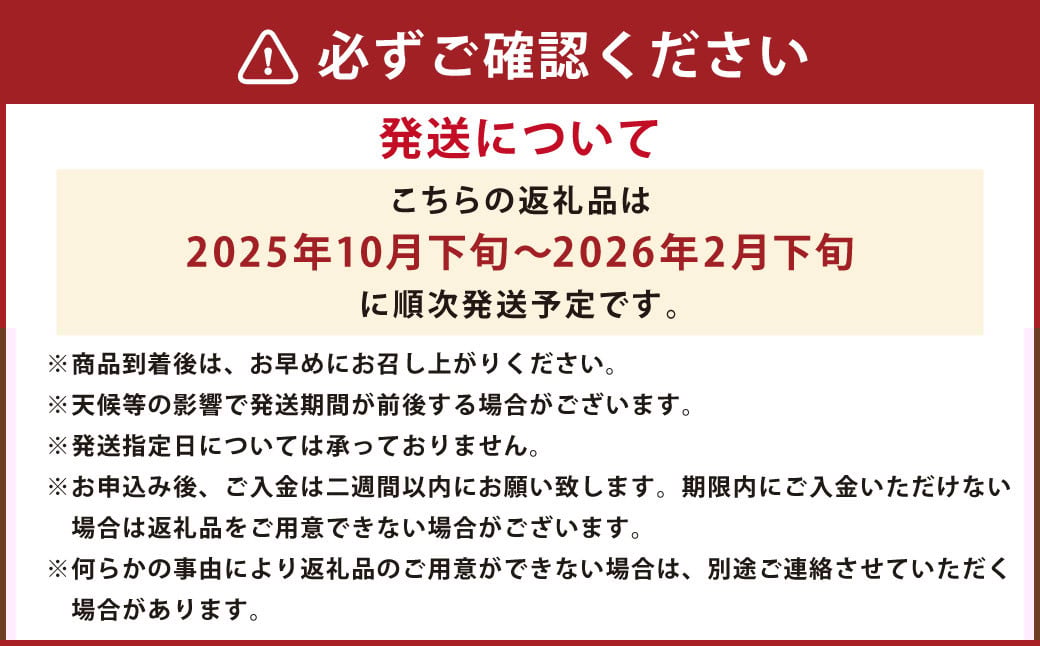 みかん 5kg(サイズ2L～2S) 蜜柑