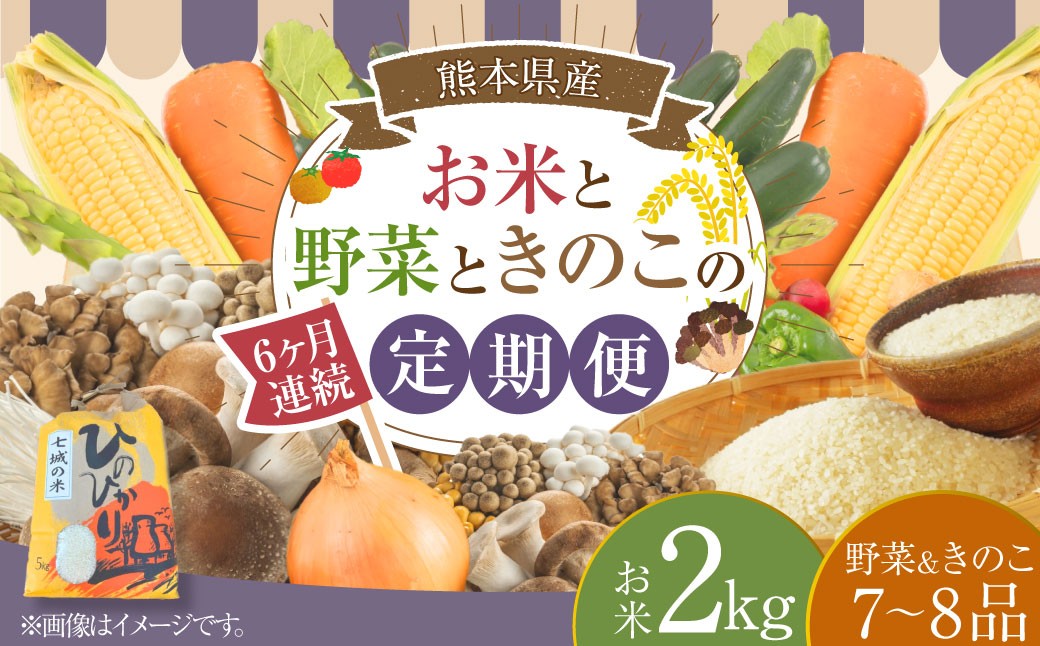 
            【6ヶ月連続定期便】 【令和7年度産】 熊本県（七城）産のお米と熊本県産の野菜ときのこ お米（2kg）・野菜＆きのこ（7～8品） 精米 単一原料米 ひのひかり   ジャガイモ ニンジン シイタケ 【2026年1月上旬発送開始】
          