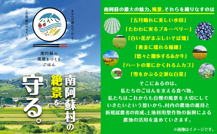 ぴかまる パックご飯 10個パック ごはん 米 パックライス 南阿蘇村産 一般社団法人南阿蘇村農業みらい公社《30日以内に出荷予定(土日祝を除く)》熊本県 南阿蘇村 送料無料 お米 米 ご飯 玄米 パ