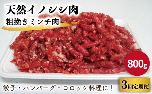 
										
										【3回定期便】ジビエ 天然イノシシ肉 粗挽きミンチ肉 800g【照本食肉加工所】 [OAJ067]
									