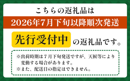 【先行受付】パイナップル/ボゴール種 (約800g×2玉) ≪2026年7月下旬以降順次発送≫ DS-004 ｜パイン パイナップル パインアップル フルーツ ボゴールパイン スナックパイン 産地直送