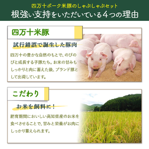 しまんと米豚の しゃぶしゃぶセット 計800ｇ（400g×２) 豚肉 豚しゃぶ 米豚肉