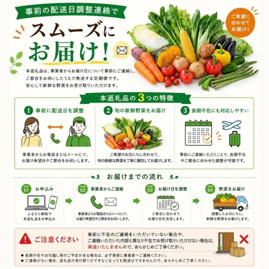 季節の野菜セット 12回 野菜定期便