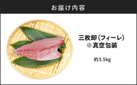 鹿児島県産 カンパチ 約3.5kg 三枚卸（ フィーレ ） 活〆 ※ 真空包装 K294-003_02 魚