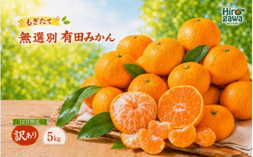 もぎたて 無選別 有田 みかん 5kg 訳あり 12月 配送 / ミカン 蜜柑 柑橘 温州みかん 和歌山 有田 ※2026年12月上旬～12月下旬に順次発送 【oda004-c-5-12】