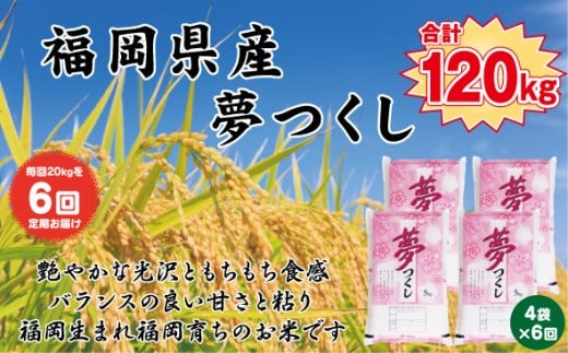 【定期便全6回】【令和7年産新米】【食味鑑定士厳選】福岡県産 夢つくし20kg (5kg×4袋) 合計 120kg