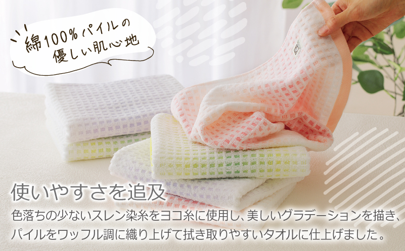 グラデーションワッフル フェイスタオル 6枚（ピンク／グリーン／パープル）泉州こだわりタオル【泉州タオル 国産 吸水 普段使い シンプル 日用品】 010B1558