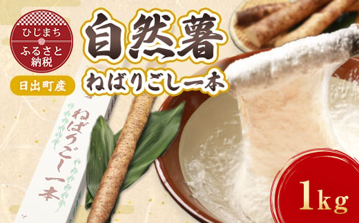 
                  ＜数量限定＞日出町産自然薯「ねばりごし一本」 (1kg)【1134765】
                