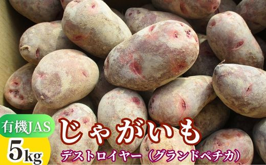 先行予約 有機JASじゃがいも 5kg （グランドペチカ／デストロイヤー） 【畑直送】