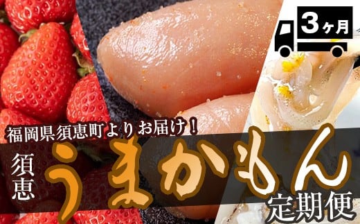 
            福岡県須恵町よりお届け！須恵うまかもん定期便（3か月） SE011-1 いかの塩辛 辛子明太子 あまおう
          