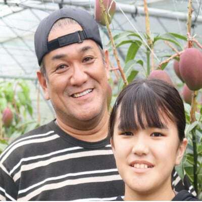 【2026年7月から順次発送・贈答用】仲宗根果実園のアーウィンマンゴー1kg(2～3玉)【配送不可地域：離島】【1726878】