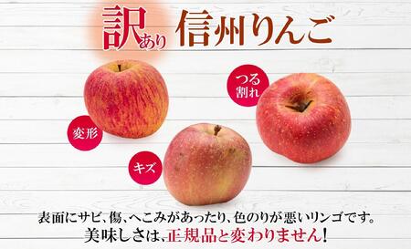 ＜26年発送 先行予約＞長野県産 りんご シナノドルチェ 訳あり 約3kg リンゴ 旬 フルーツ 訳アリ 林檎 果物 規格外 自家用 産地直送 農園 産直 お取り寄せ もぎたて 採れたて 送料無料 堀