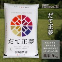 【ふるさと納税】だて正夢　精米5kg　お米・宮城県産