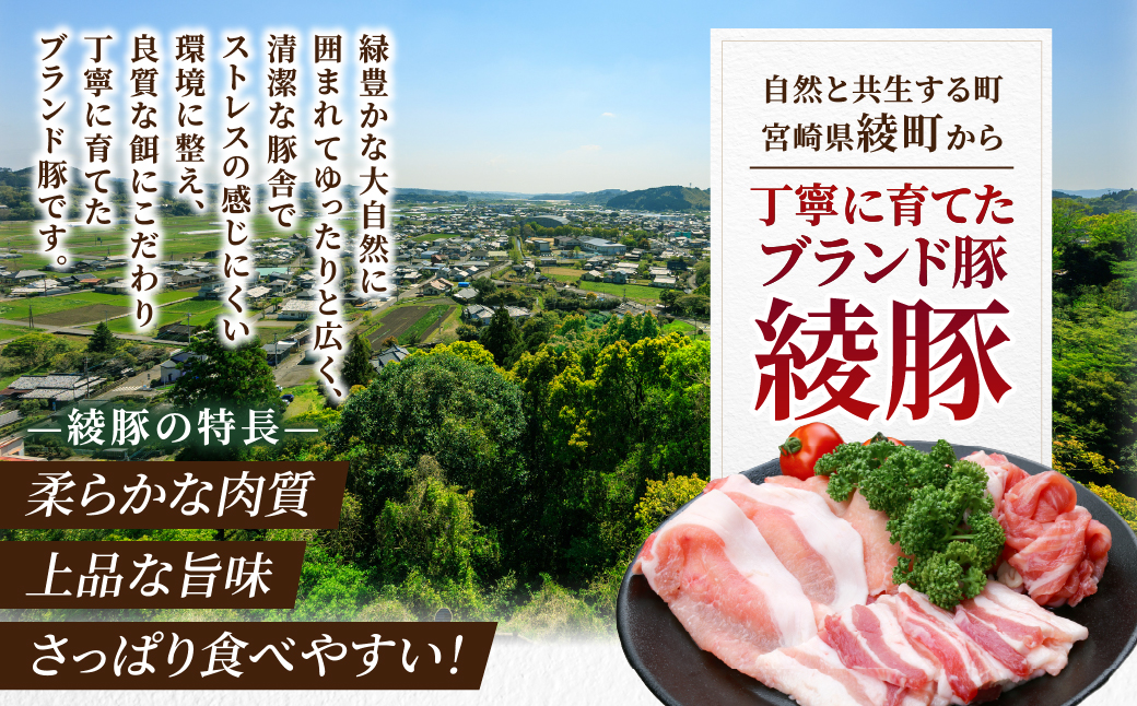 綾豚ファミリーセット_A0023-005