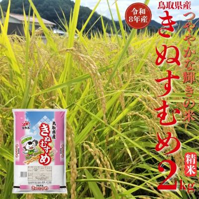 ふるさと納税 湯梨浜町 鳥取県産きぬむすめ◇精米2kg◇令和8年産(357M.)
