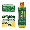 【ふるさと納税】伊藤園 おーいお茶 濃い茶 600ml×24本／2L×6本／定期便あり【お～いお茶 ケース 送料無料 ソフトドリンク まとめ買い 常備 備蓄 機能性表示食品】