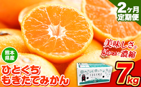 【先行予約】【2か月定期便】訳あり みかん ひとくちもぎたてみかん 約 7kg (7kg×1箱) S-3Sサイズ 訳あり ご家庭用 熊本県産 （荒尾市産含む） 期間限定 フルーツ 果物 旬 冬 柑橘 