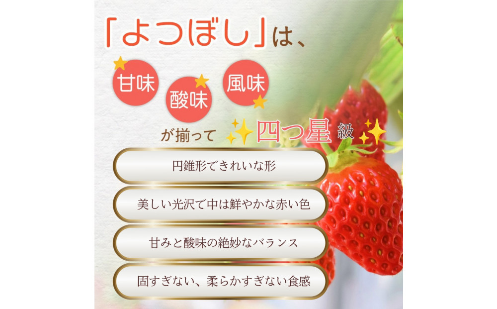 【先行予約！】2027年2月以降順次発送　食べ比べ「よつぼし」「うた乃」200ｇ×4パック