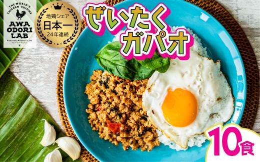 阿波尾鶏 ぜいたくガパオ 10食入 130g×10パック ガパオライス 国産 鶏肉 地鶏 エスニック タイ料理 常温 レトルト