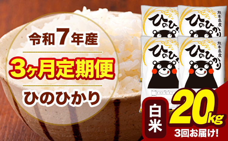 令和7年産 【3ヶ月定期便】 白米 米 ひのひかり 20kg《お申込み翌月から出荷》熊本県 大津町 国産 熊本県産 白米 送料無料 ヒノヒカリ こめ お米---hn7tei_121500_20kg_mo3_oz_h---