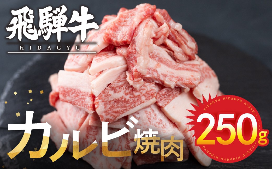 
                  【訳あり 不揃い】飛騨牛 カルビ 焼肉用 250g 牛肉 和牛 肉 国産 熨斗掛け バーベキュー 焼き肉 カルビ A4 A5 化粧箱 ギフト 熨斗 人気 時間指定 冷凍便 冷凍発送 10000円 1万円
                
