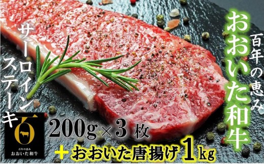 
おおいた和牛サーロイン200g×3+鶏唐揚げ1kg_1089R
