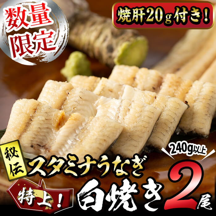 【ふるさと納税】【数量限定】鹿児島県産！秘伝の特上スタミナうなぎ白焼き＜2尾・計240g以上＞焼肝20g付き！ にんにく黒酢パワーで丸々太った美味しい鰻！うなぎ ウナギ 鰻 白焼き うな肝 焼き肝 有頭 鹿児島【有明淡水】a4-063