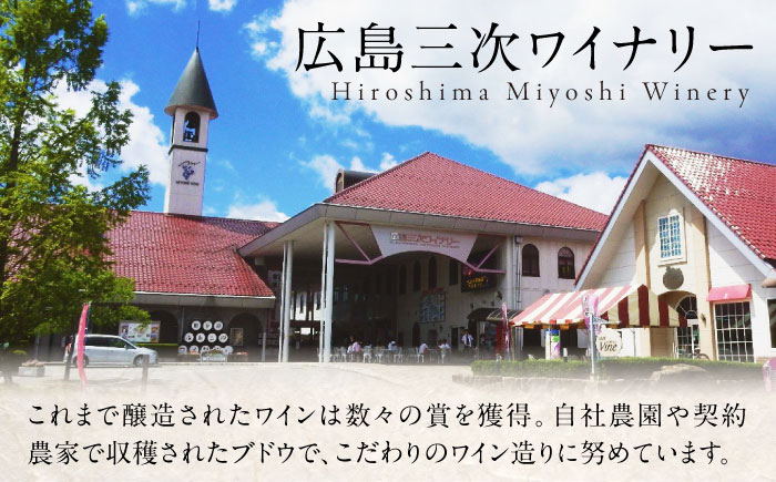 榴 りゅう / 緋 あけ 750ml 2本セット ワインセット 赤ワイン ワイン ギフト 広島 三次 酒 国産ワイン 日本ワイン 三次市 / 広島三次ワイナリー [APAZ143]