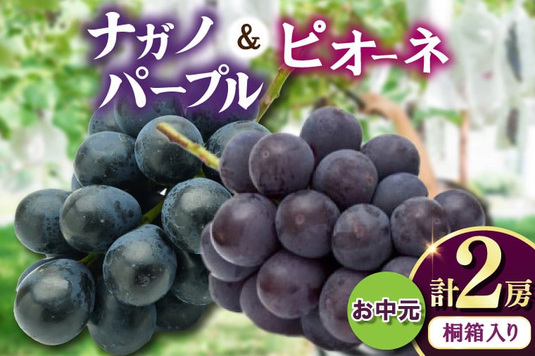 
            お中元桐箱入りナガノパープル1房・ピオーネ1房　県内共通返礼品:かすみがうら市産 (BR172)
          