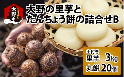【先行予約】大野の里芋とたんちょう餅の詰め合わせB（里芋3kg+丸餅20個入り×1袋）【2025年11月30日より順次発送】[A-001070]