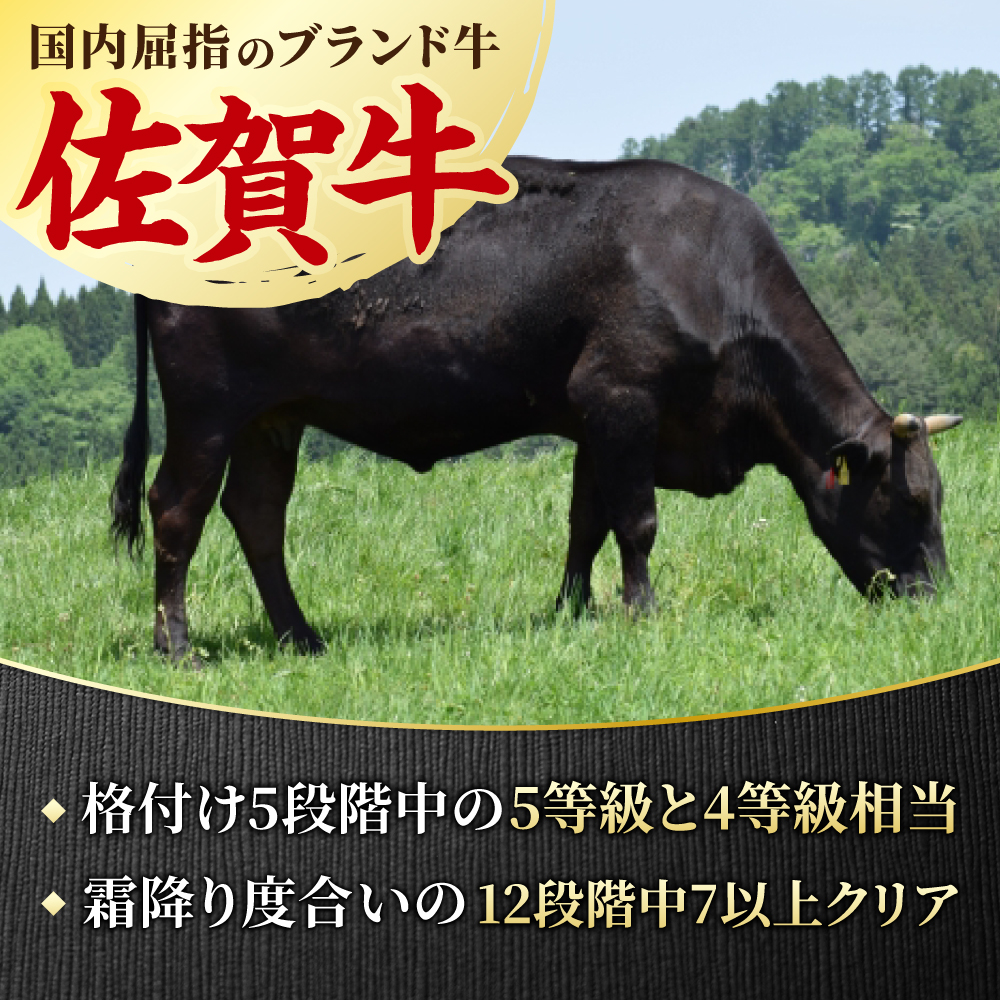 脂の乗り 柔らかさ 旨味はピカイチ！佐賀牛  サーロインステーキ 2人前 200g×2 400g  吉野ヶ里町/NICK’S MEAT [FCY004]