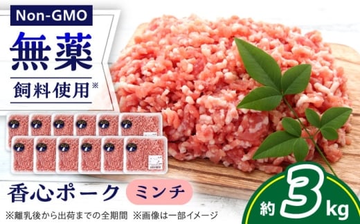 『香心ポーク』ミンチ 約250g×12パック（計約3kg）豚肉 冷凍 熊本県産 【有限会社 コーシン】 豚肉 ひき肉 ミンチ 国産 熊本県 熊本 冷凍 大容量 3kg 小分け 250g ハンバーグ 餃子 キーマカレー 麻婆豆腐 炒め物 肉団子 ジューシー 万能 作り置き 便利 [AYCK023]