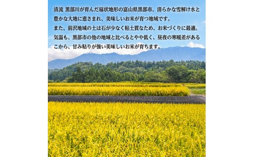 黒部産米 令和8年産コシヒカリ 精米 30kg お米 コメ 白米 こしひかり ご飯 ごはん 富山県 黒部市