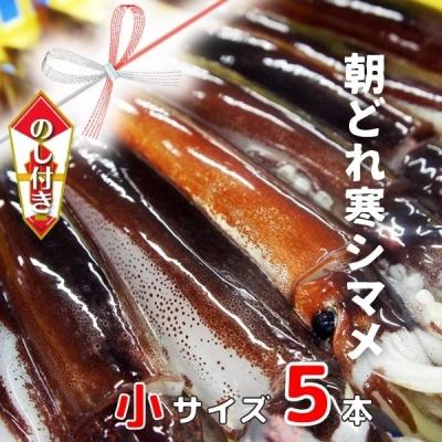 ふるさと納税 海士町 【のし付き】スルメイカ 小サイズ 160-200g×5杯 朝どれ鮮度 CAS冷凍 個包装