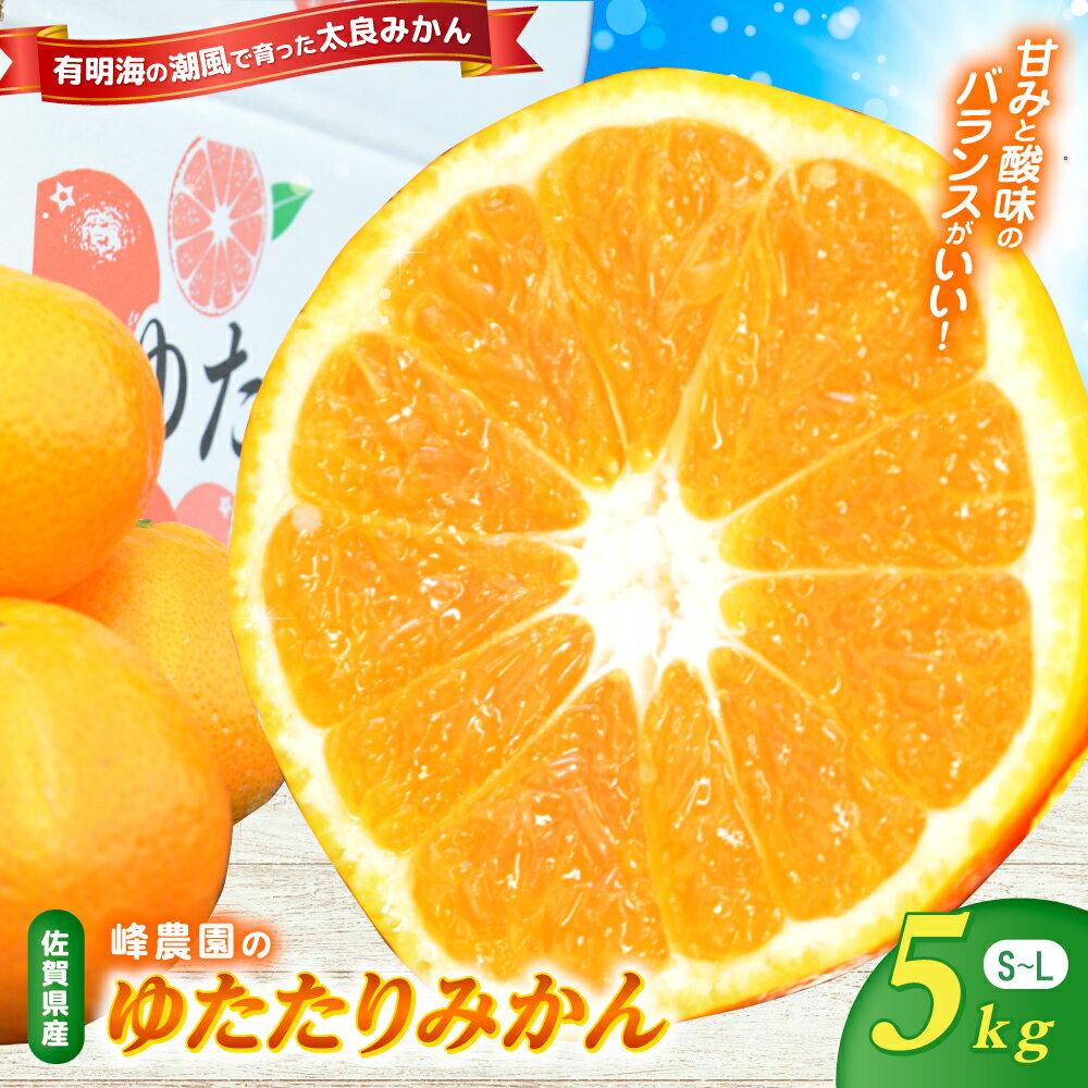 【ふるさと納税】峰農園のゆたたりみかん 5kg 温州 みかん ミカン 蜜柑 温州蜜柑 温州ミカン フルーツ くだもの 果物 佐賀県 太良町 N253