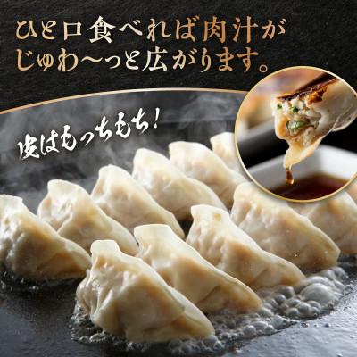 ふるさと納税 南城市 【美ら島あぐー】餃子(80個入り/4パック×20個入り) |  | 02