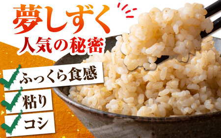 【安心・安全な佐賀の米】＜全6回定期便＞特別栽培米「夢しずく」玄米5kg【だいちの家】[HAG033]