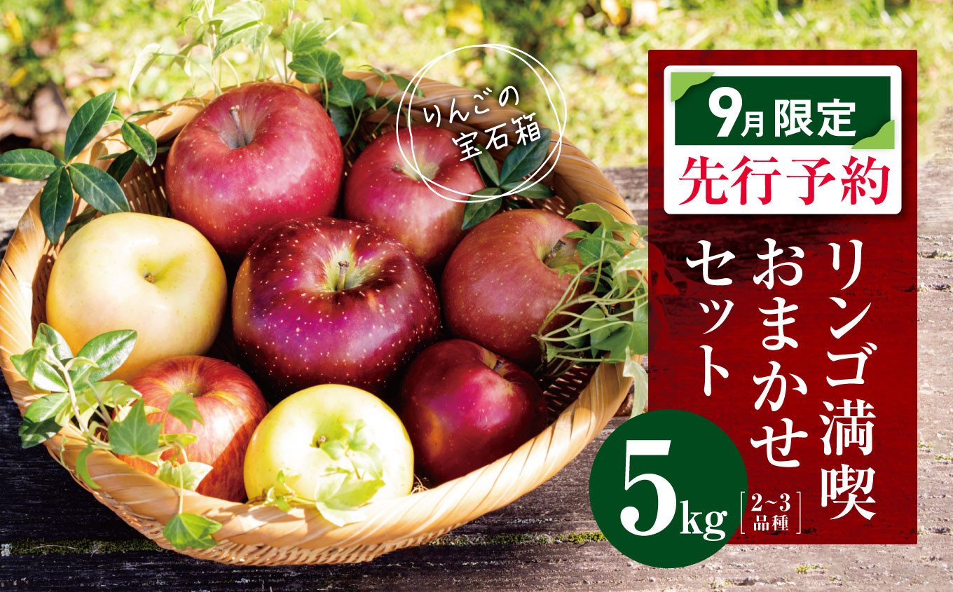
            【2026年9月限定 先行予約】訳あり リンゴ 満喫おまかせセット 約 5kg | ヤマモ農園 果物 フルーツ 果実 りんご 林檎 リンゴ セット 訳あり 長野県 松川村 信州
          