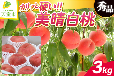 硬い !! もも 美晴白桃 3kgフルーツ 果物 山形 桃