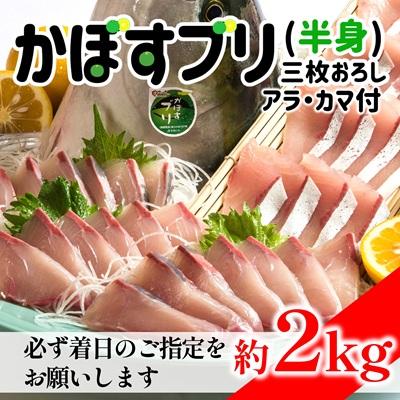 ふるさと納税 臼杵市 【年末配送可】≪着日指定必須≫さっぱり美味い「うすき産(養殖)かぼすブリ」 (半身)
