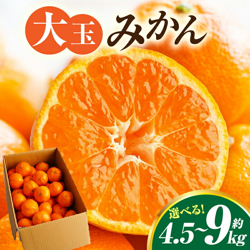 【ふるさと納税】【選べる内容量】大玉みかん約4.5～9kgみかん 柑橘 果物 フルーツ 大玉みかん 大玉みかん 大玉 みかん ミカン 蜜柑 オレンジ 柑橘 柑橘系 果物 フルーツ 青果 おすすめ お取り寄せ ギフト 香川県 三木町