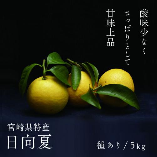 【ふるさと納税】日向夏 種あり 5kg 先行受付 2026年発送 ニューサマーオレンジ 柑橘 ギフト 贈答 送料無料