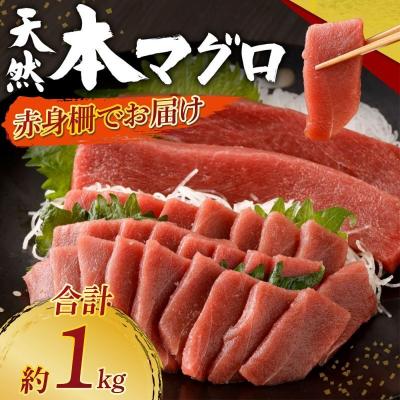 ふるさと納税 室戸市 天然本まぐろ 赤身サク 合計約1kg