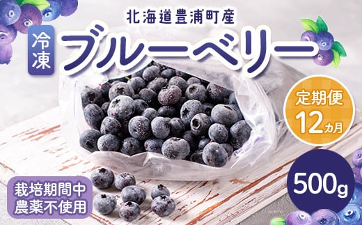 
【定期便12カ月】北海道 豊浦町産 冷凍 ブルーベリー 500g 栽培期間中農薬不使用 【ふるさと納税 人気 おすすめ ランキング 果物 ブルーベリー 冷凍ブルーベリー 国産ブルーベリー 濃厚ブルーベリー 大容量 無農薬 おいしい 美味しい あまい 新鮮 定期便 北海道 豊浦町 送料無料】 TYUS005
