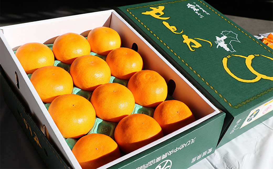 「柑橘の大トロ」 せとか 先行予約 数量限定 約3kg （554）  【2025年2月下旬発送予定】