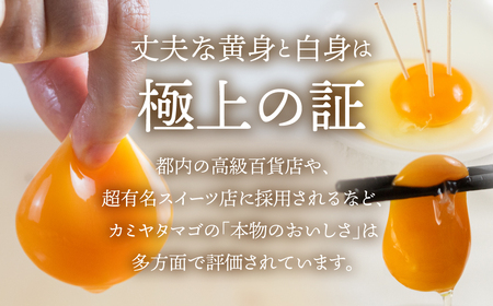 【感動の卵体験】コク旨 極上卵 60 個 割れ保証付き