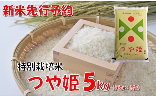【令和7年新米  先行予約】山形県小国町産 つや姫5kg　　小国米穀商業協同組合