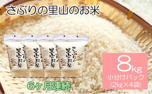 
定期便 【6ヶ月連続】さぶりの里山のお米　コシヒカリ精米　小分けパックのセット　8kg
